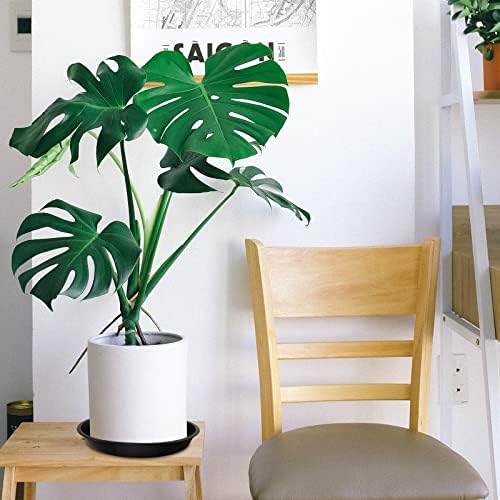 OUPSAUI 5 Pack 4 10 12 14 16 18 20 22 Inch Plant Saucer, Plant Trays for Pots, Large Plastic Plant Saucers for Indoors, No Holes Planter Drip Tray (18 inch) - Image 6