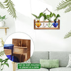 Plant Propagation Stations Heart Plant Terrarium Kit - Image 3