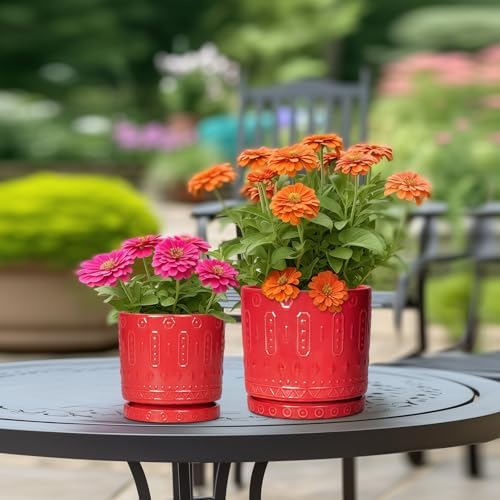 Eightpot 10 Inch Plant Pot, Ceramic Pots for Plants for Indoor Outdoor Plants, Round Planter with Drainage Hole and Tray, Boho Decorative Flower Pots, Front Porch Decor, Gifts for Plant Lovers, Red - Image 3