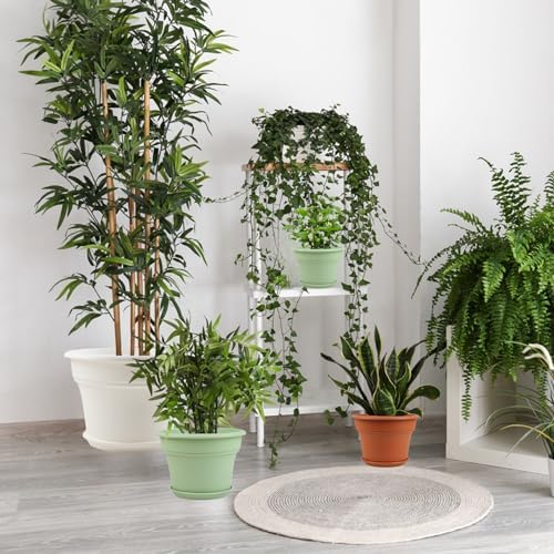 Pottiffe Plant-Pots-Planters-Indoor-Outdoor, 13 inch 4 Pack Terracotta - Image 6