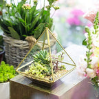 NCYP Geometric Glass Terrarium for Succulent, Air Plants - 5.9x5.9x7.87 Inches - Wall Hanging Glass Planter Pot, Home Garden Tabletop Decoration, Gold (Terrarium Only) - Image 4