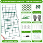 ROADPLUM Cucumber Trellis for Raised Garden Bed, Outdoor Sturdy Metal A-Frame Cucumber Trellis Support for Climbing Plants Vegetables and Fruits with Accessories, Easy installation and Easy Harvesting - Image 3