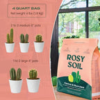 Rosy Soil Indoor Potting Soil Bundle, Organic Houseplant, Aroid and Cactus Potting Mix Set, Peat-Free Biochar Formula, 4 Qt Each - Image 6