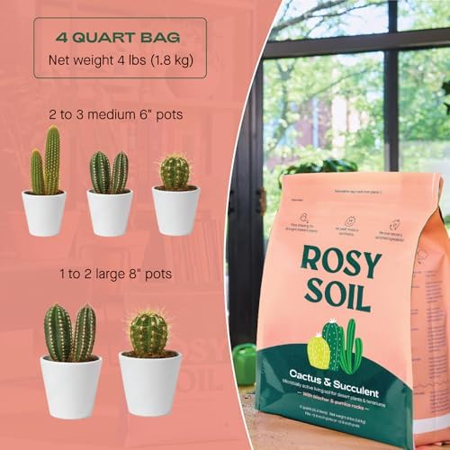 Rosy Soil Indoor Potting Soil Bundle, Organic Houseplant, Aroid and Cactus Potting Mix Set, Peat-Free Biochar Formula, 4 Qt Each - Image 6