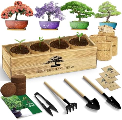 LUOJIBIE Bonsai Tree Kit, Complete Bonsai Starter Growing Kit, Christmas Birthday Gifts for Women Men Mom Dad Girls Boys, Gardening Gift for Plant Lovers, White Elephant Gifts for Adults by LUOJIBIE