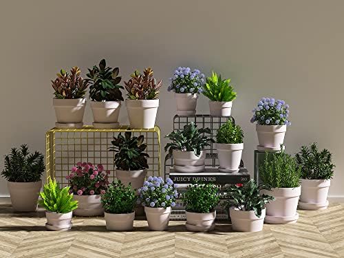 2 Inch Pink Terracotta Pots Pack of 72 - Mini Clay Pot with Drainage Hole for Tiny Cactus Herb lithop, Small Succulent Planter Nursery Plant Pot for Windowsill, Cactus Plant, Crafts, Wedding Favors - Image 5