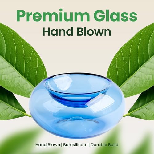 Glass Avocado Seed Vase for Growing – Hand-Blown Avocado Vase, Indoor Plant Vase and Avocado Planter Pot for Plant Growing (Light Blue) - Image 2