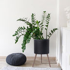 D'vine Dev Planter Pot with Wood Stand, 16 in, Matte Black, 88-Z-E-2 - Image 5
