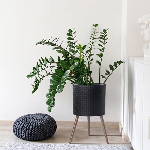 D'vine Dev Planter Pot with Wood Stand, 16 in, Matte Black, 88-Z-E-2 - Image 5
