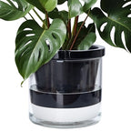 D'vine Dev Self-Watering Black Terracotta Planter Pot, 10 in, 37-X-D-3 by DvineDevPlanterPotsandStand