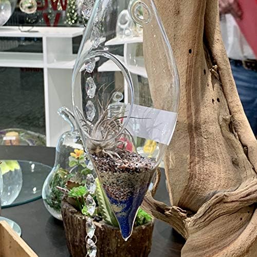 WGV Glass Hanging Plant Terrarium Bulk, Width 3", Height 9", Droplet DIY Succulent Air Planter Clear Tea Light Votive Candle Holder for Event Home Garden Outdoor Decor, 6 Pieces - Image 5