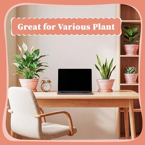 Maxdot Set of 6 Embossed Succulent Pots 6" Small Terracotta Pot, Wide Style - Image 4