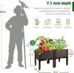Generic 2Pcs Raised Garden Bed with Legs, Elevated Plastic Planter Box for Outdoor Plants, Flowers, Vegetables and Herbs - Image 2