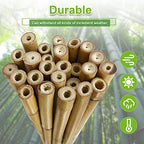 Jollybower 20pcs 5/8" D Thicker Heavy Duty Bamboo Stakes, 6FT Plant Stakes, Natural Garden Stakes for Tomato, Bean, Flowers,Trees Potted and Climbing Plant Support - Image 4