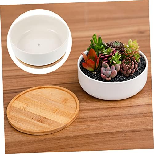 Gatuida Ceramic Succulent Planter Pot Garden Ceramic Plant Pots Bamboo Tray Small Bonsai - Image 4