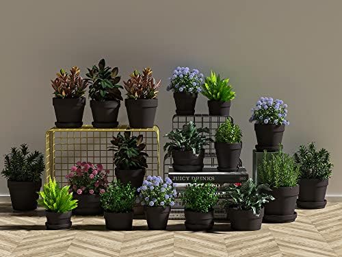 2 Inch Black Terracotta Pots Pack of 72 - Mini Clay Pot with Drainage Hole for Tiny Cactus Herb lithop, Small Succulent Planter Nursery Plant Pot for Windowsill, Cactus Plant, Crafts, Wedding Favors - Image 5