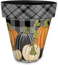 Briarwood Lane Fall Planter 14" x 15" x 15" Checkered Pumpkins Large for Fall Planter by BriarwoodLane