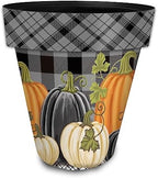 Briarwood Lane Fall Planter 14" x 15" x 15" Checkered Pumpkins Large for Fall Planter by BriarwoodLane