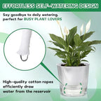 6 Pack Self Watering Pots for Indoor Plants Plastic Vertical Ribbed Semi Transparent Planters, Dual Layer Reservoir for Indoor Succulents Herbs Pothos(Clear, White,6.5 x 5.9 Inch) - Image 4