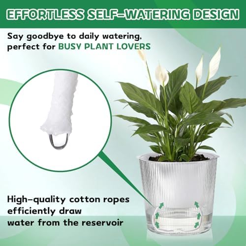 6 Pack Self Watering Pots for Indoor Plants Plastic Vertical Ribbed Semi Transparent Planters, Dual Layer Reservoir for Indoor Succulents Herbs Pothos(Clear, White,6.5 x 5.9 Inch) - Image 4