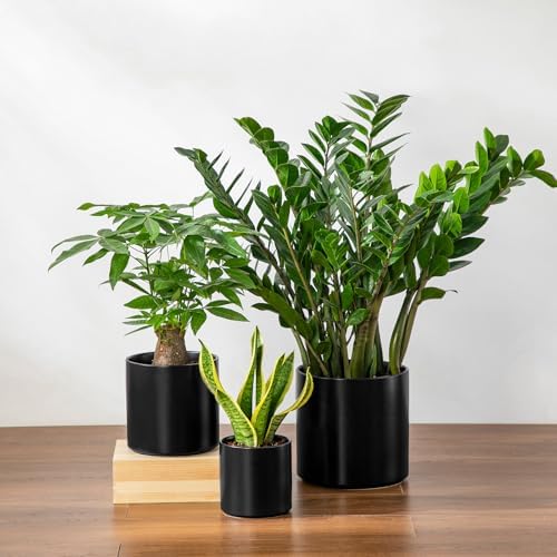 vancasso 6"+8"+10" Ceramic Pot for Plants, Large Outdoor Indoor Planter Pots with Drainage Holes, Set of 3, Black - Image 6