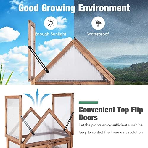 GRAFFY Wooden Cold Frame Greenhouse with 3 Removable Shelves for Outdoor - Image 4