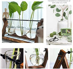 XXXFLOWER Plant Terrarium with Wooden Stand Air Planter Bulb Glass Vase Metal Swivel Holder Retro Tabletop for Hydroponics Home Garden Office Decoration - Image 6