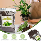 Doter Organic Peace Lily Soil Mix 10qt, Indoor Plants Potting Mix for Planting, Growing, or Repotting Peace Lily Plants, Grow Healthy houseplants Indoors - Image 3