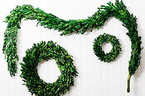 Richland Preserved Boxwood Garland 70" - Image 2