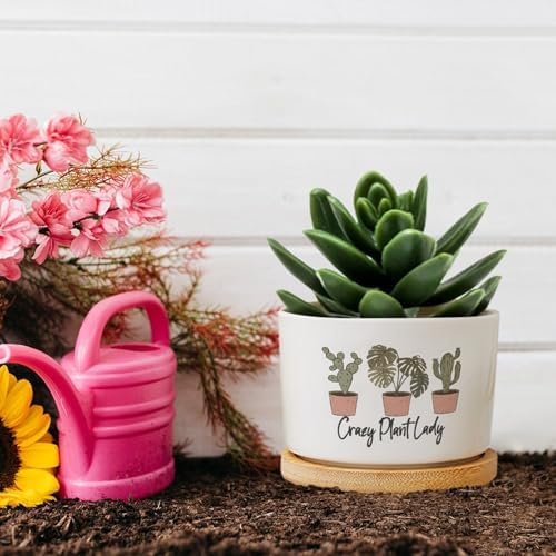 DreamAutumn Pack of 3 Crazy Plant Lady Planter Ceramic Round Plant Pots with Drainage Holes and Bamboo Tray Planting Small Flower Pots for Home Windowsill Desk Garden Indoor Outdoor Use - Image 5