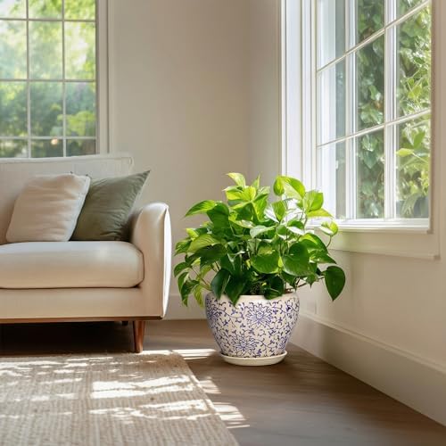 Ceramic Pots for Plants 10 Inch - Indoor Flower Pots with Drainage Hole and Tray, Decorative Pot for Indoor Outdoor Plants, Round Planters, Bathroom Decor, Gifts for Men Women, Retro Blue - Image 7