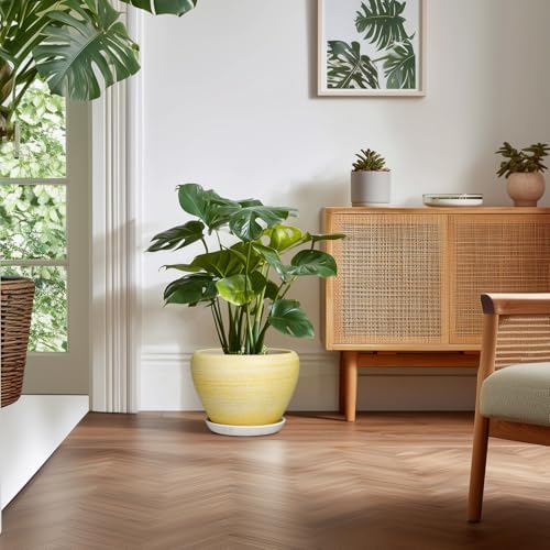 Ceramic Planter 10 Inch, Ceramic Pots for Plants, Textured Yellow - Image 3