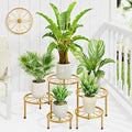 5 Pack Planters Stands with Gold Outdoors Plant Holders Indoor (GoldS) by Unknown