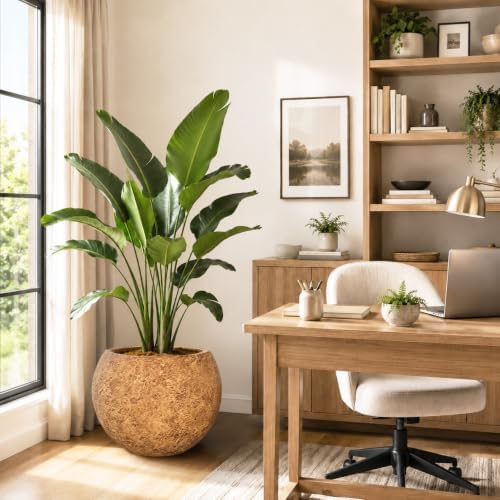 17" H x 21" Dia Round Brown Fiberstone Planter Pot with Drainage Hole, Lightweight UV-Resistant Stone-Look Decorative Planter for Olive Trees, Large Plants & Indoor Outdoor Patio, Porch & Garden - Image 5