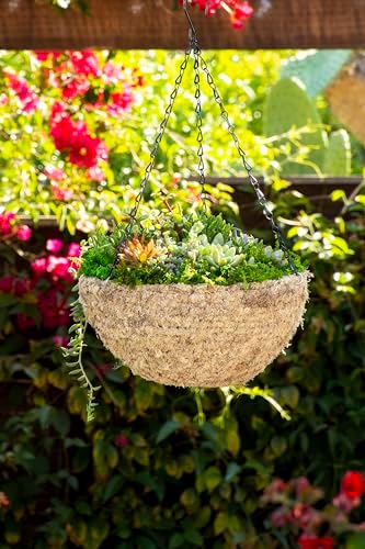 SuperMoss (29241D MossWeave Hanging Basket | Outdoor Hanging Planter with Moss | Decorative Plant Hanger for Porch, Balcony, Garden & Home Décor, Round, Medium 14.5” D, Blond - Image 4