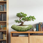 Bonsai Planter 18 Inch - Large Ceramic Succulent Pots with Drainage Hole, Bonsai Pots for Indoor Outdoor Plant, Ceramic Flower Pot, Decorative Plant Pot, Garden Decor, Housewarming Gift, Green - Image 3