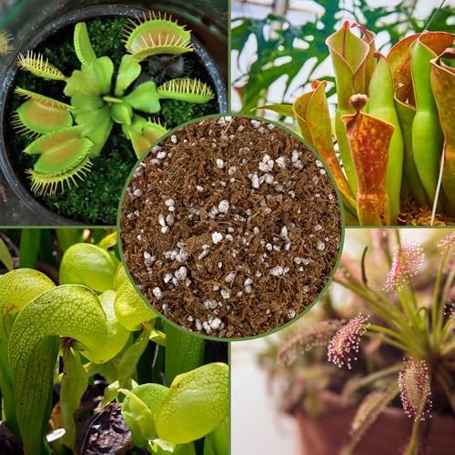 Soil Sunrise Carnivorous Plant Potting Soil Mix (12 Quarts) Custom Blend for Venus Fly Traps, Sundews, and Pitcher Plants - Image 6