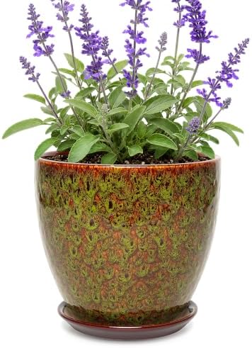 8 Inch Ceramic Planter with Drainage Hole Saucer(Spotted Green) by Unknown
