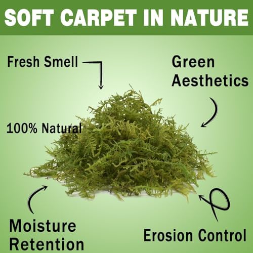 Sphagnum Moss 4.4 LB Long Fiber Green Forest Moss - Image 5