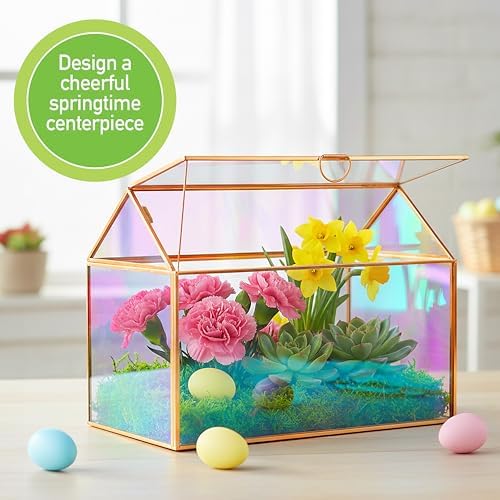 D'Eco Iridescent Glass Plant Terrarium, Centerpiece, Wedding Letterbox - Image 2