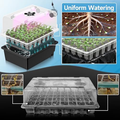 Hon&Guan 2-Pack 30-Cell Seed Starting Kits with Heat Mats and LED Lights - Image 7