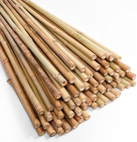 Natural Bamboo Poles, Approx. 57 in / 5 ft, 5/8" Diameter Bamboo Sticks for Plants, Wood Garden Stakes for Tomatoes, Beans, Flowers, Potted Trees and Climbing Plants, 40 Pack by Gardgue