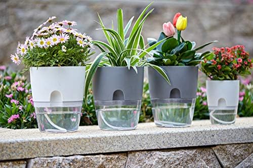 Self Watering Planter for Indoor Plants, 2 Pack 9.3 Inch Flower Pot Modern Decorative Plastic Planter with Extra Large Water Storage for All House Plants, Flowers, Herbs(White) - Image 3