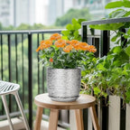 Ceramic Flower Pot - 7 Inch Ceramic Plant Pot for Indoor Flowers, Modern Outdoor Round Planter with Drainage Hole and Saucer, Gifts for Plant Lovers, Home Garden Decor, Silver - Image 5