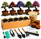 Bonsai Tree Kit - Bonsai Starter Kit with 5 Unique Japanese Bonsai Seeds by Unknown