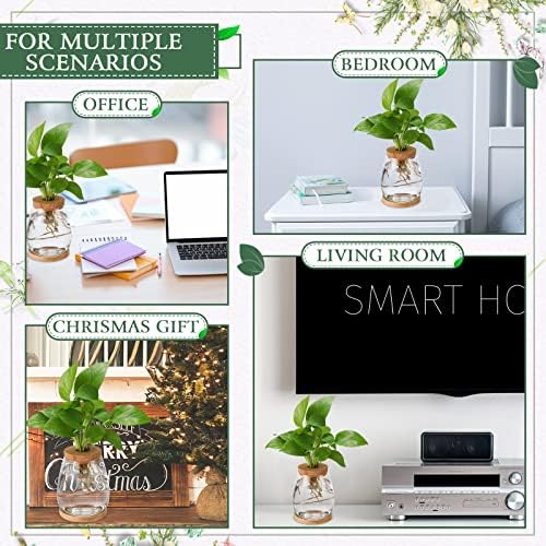 Nuanchu 4 Pcs Desktop Plant Terrarium Vase, Large - Image 5