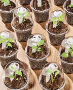 homenote 5 Inch Clear Nursery Pots with Humidity Domes and Labels (15 Pcs) - Image 4