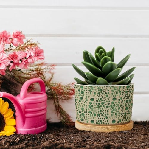 Green Planters Ceramic Animal Green Print Round Flower Pots with Drainage Holes and Bamboo Tray Pot for Home Office Desk Garden - Image 5