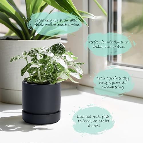 Phoenix Vine 4 Inch Planter Pot with Drainage Hole & Saucer, Deep Water Catch Tray, Straight Cylindrical Round Pot for Plants, Matte Black, Pack of 4, 23-C-R-4 - Image 5
