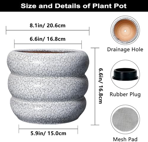 SQOWL Ceramic Pots for Plants - 8 Inch Plant Pot with Drainage Hole, Round Planter for Indoor Plants, Ceramic Flower Pots Outdoor, Modern Planter, Room Decor, Gifts for Plant Lover, Black and White - Image 3